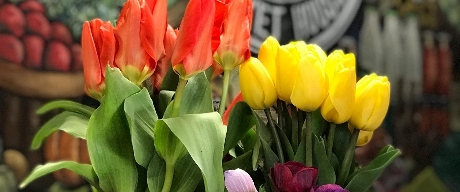 Selection of coral and yellow tulips in vases on counter