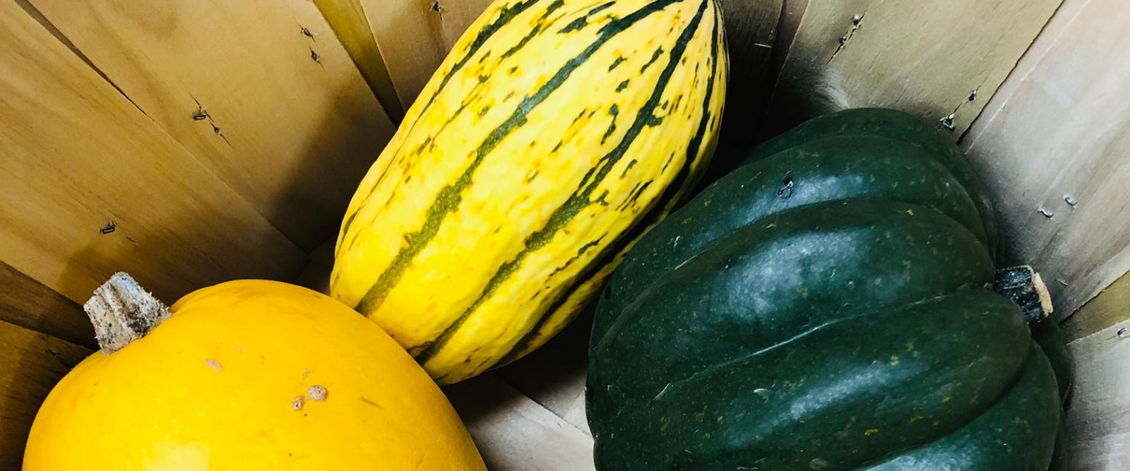 Three different winter squash in a basket