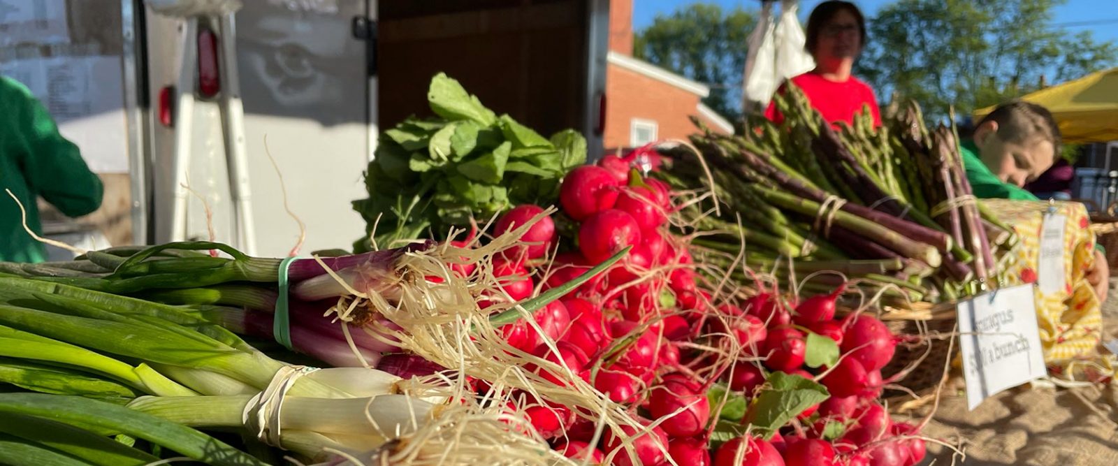 Fresh produce set out for sale on a farmer’s market table.