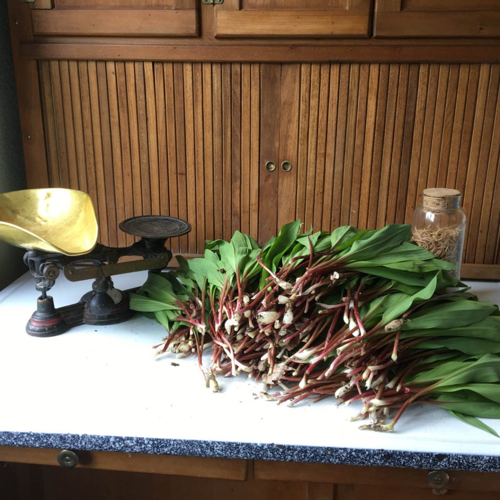 Array of fresh ramps on table next to scale
