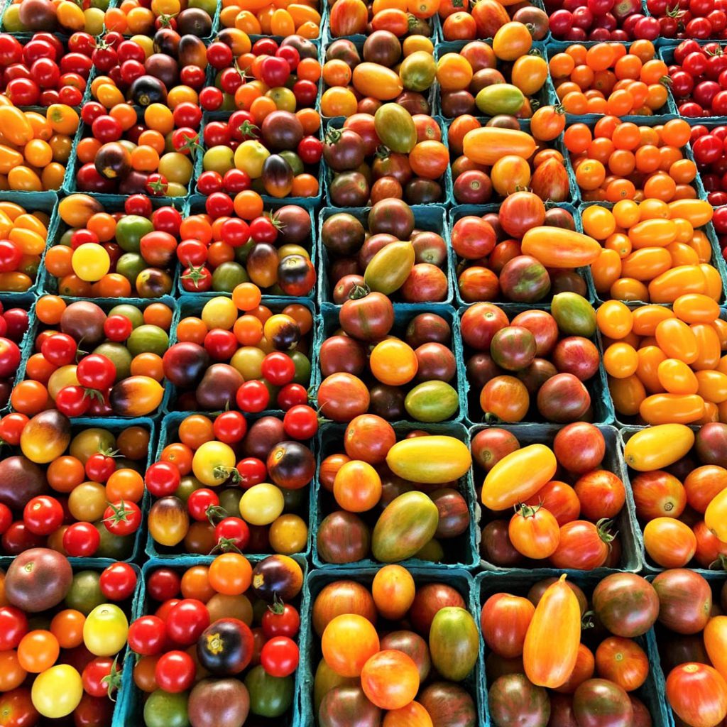 Multi-color cherry tomatoes in pint boxes