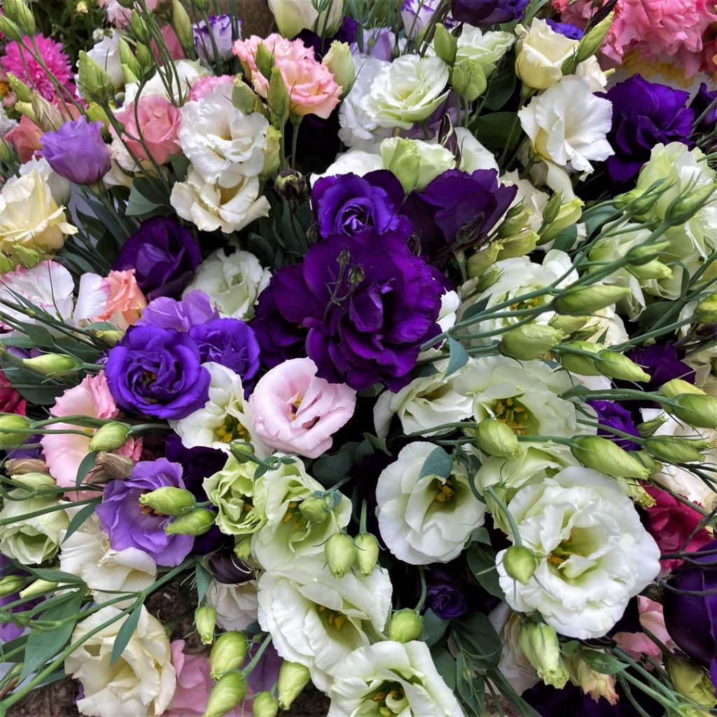 Close-up of arranged flowers by Down the Road Farm