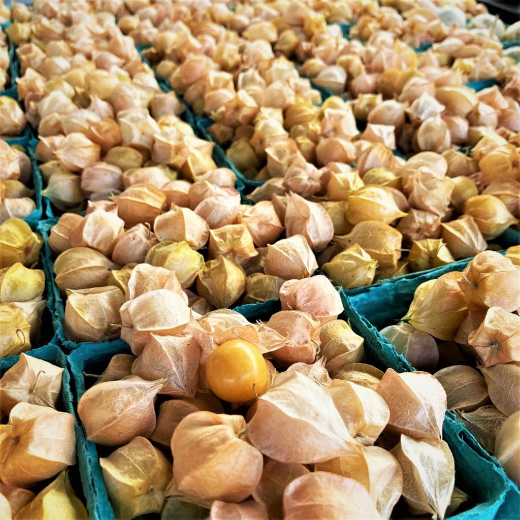 Pints of Down the Road Farm ground cherries