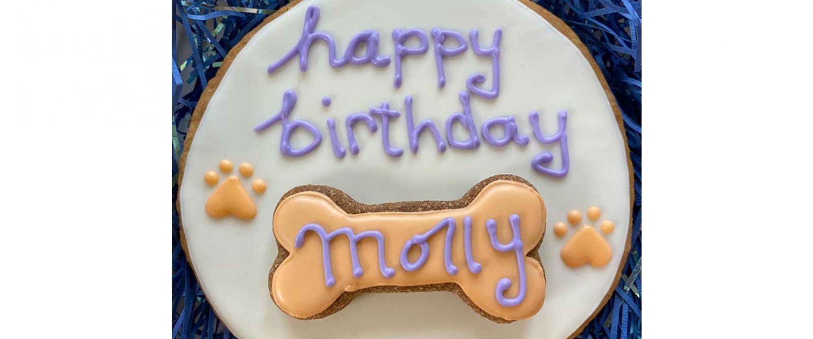 Giant iced dog treat birthday cookie that reads Happy Birthday Molly