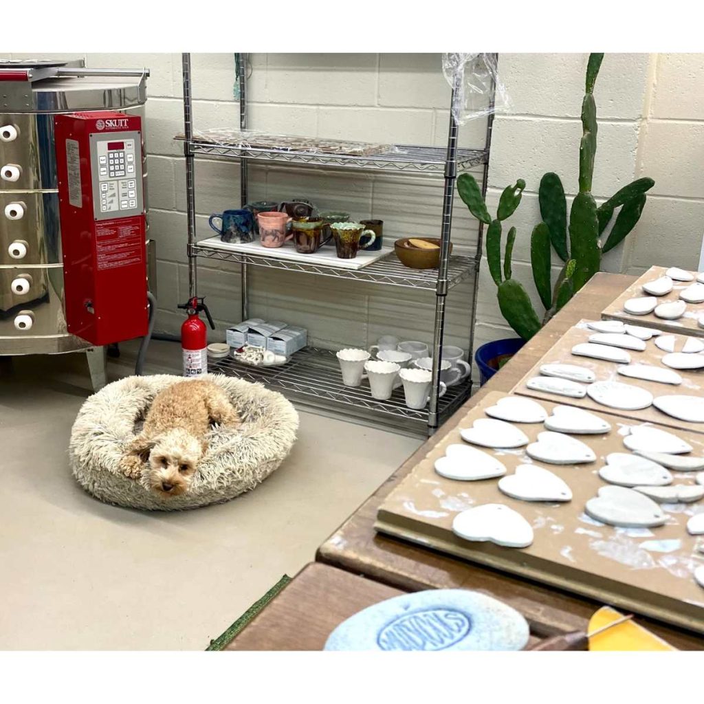 dog in dog bed on floor of pottery studio with kiln, shelving and work table