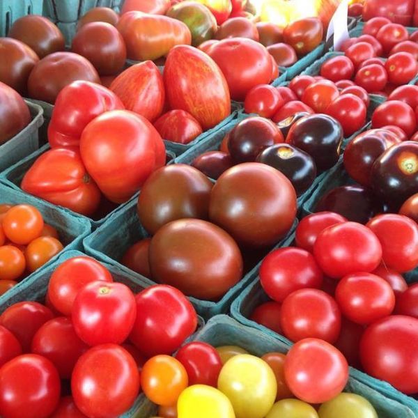 pint boxes of colorful cherry tomatoes