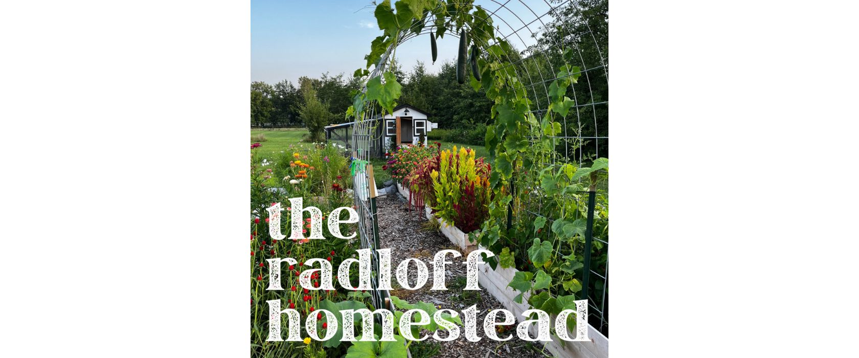 raised bed garden with cucumbers growing up an arch, colorful flowers and garden shed